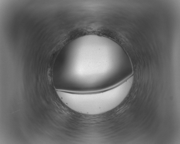 X0000063481156200601201017