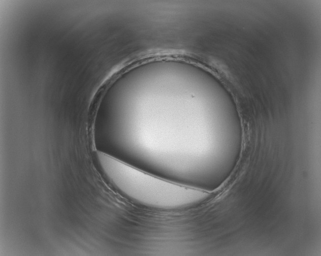 X0000063481165200601201017