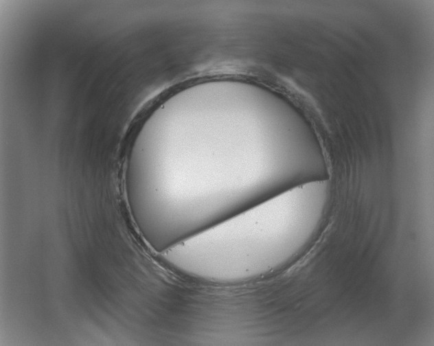 X0000063481166200601201017