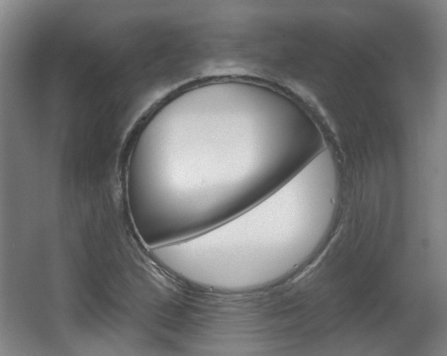 X0000063481167200601201017
