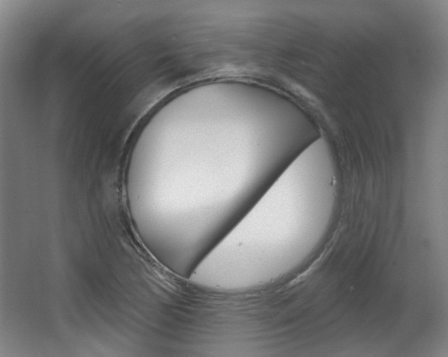 X0000063481170200601201017