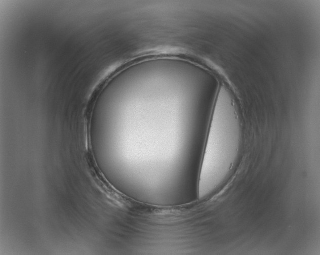 X0000063481171200601201017
