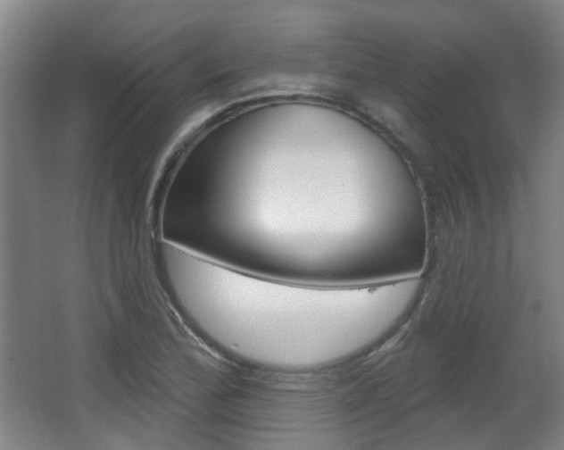 X0000063481172200601201017
