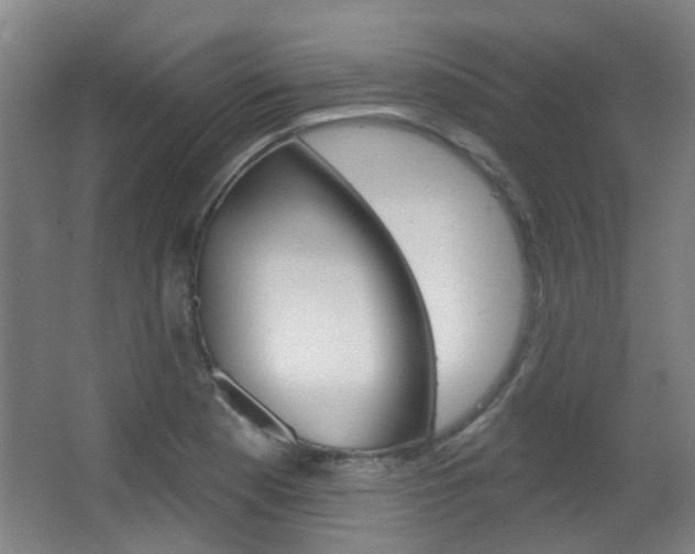 X0000063481177200601201017