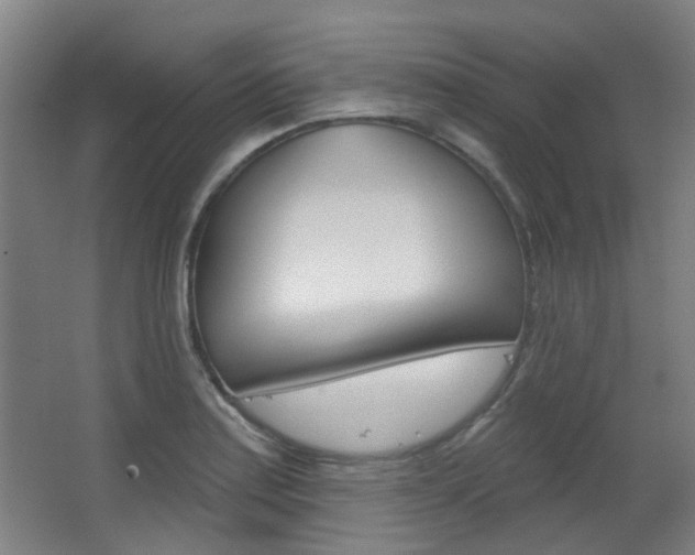 X0000063481179200601201017