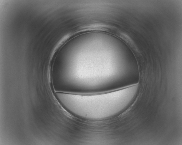 X0000063481180200601201017