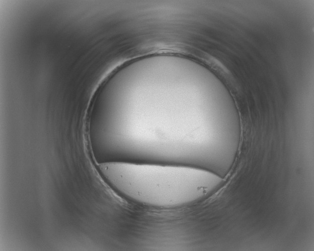X0000063481182200601201017
