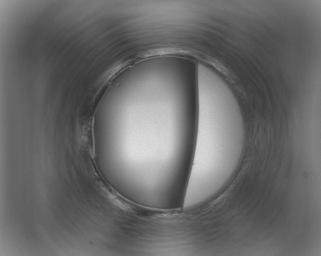 X0000063481185200601201017