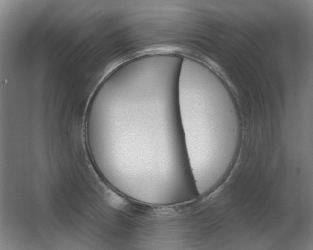 X0000063481186200601201017