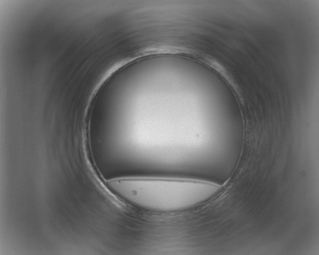 X0000063481187200601201017
