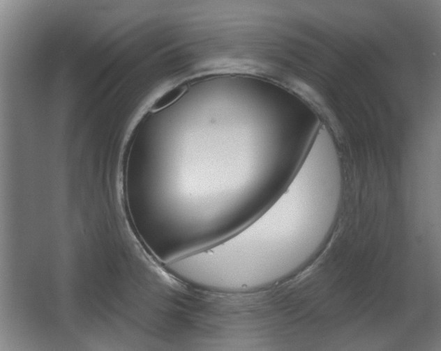 X0000063481188200601201017
