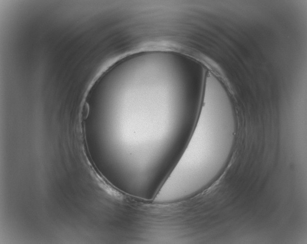 X0000063481192200601201017