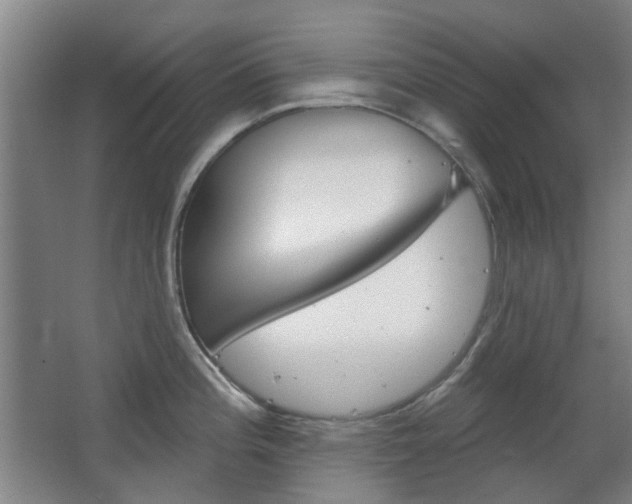 X0000063481196200601201017