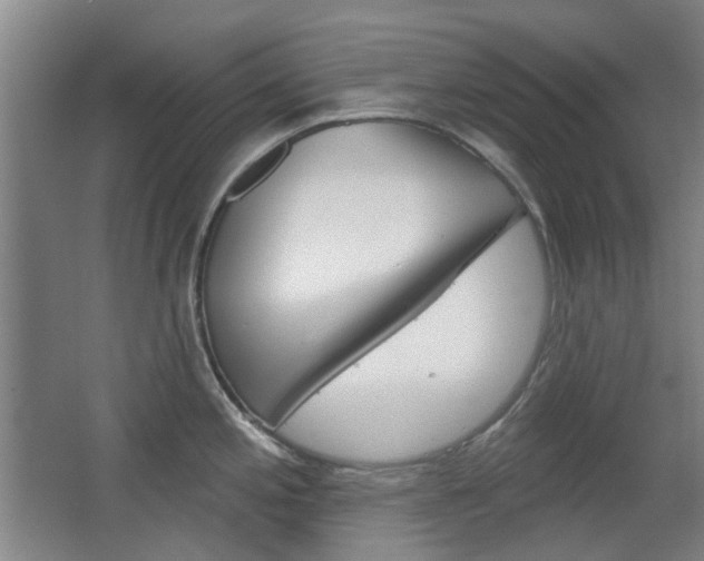 X0000063481197200601201017