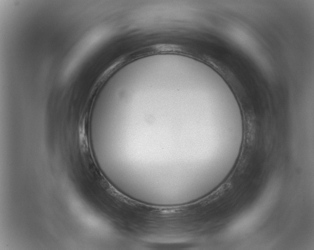 X0000063481198200601201017