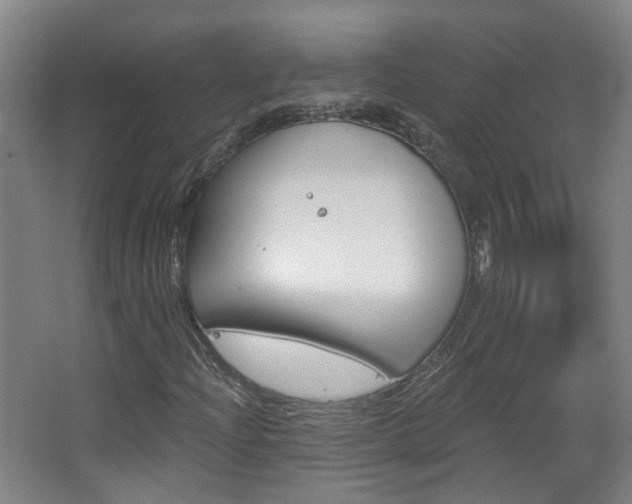 X0000063481204200601201016