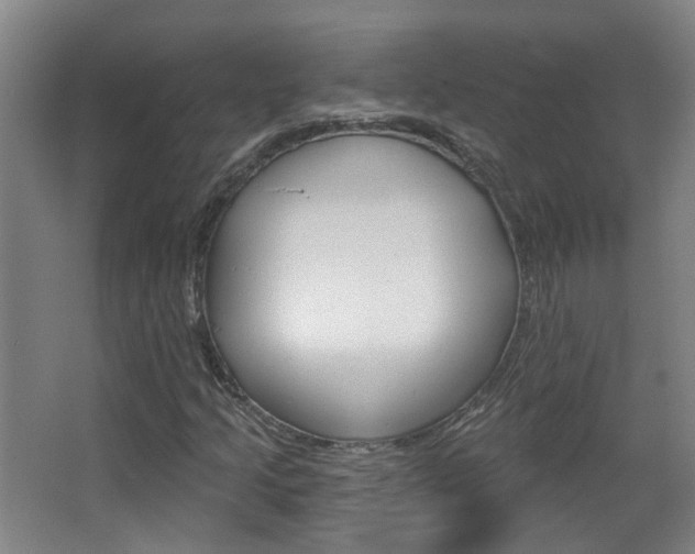 X0000063481205200601201016