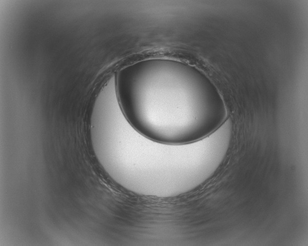 X0000063481206200601201016