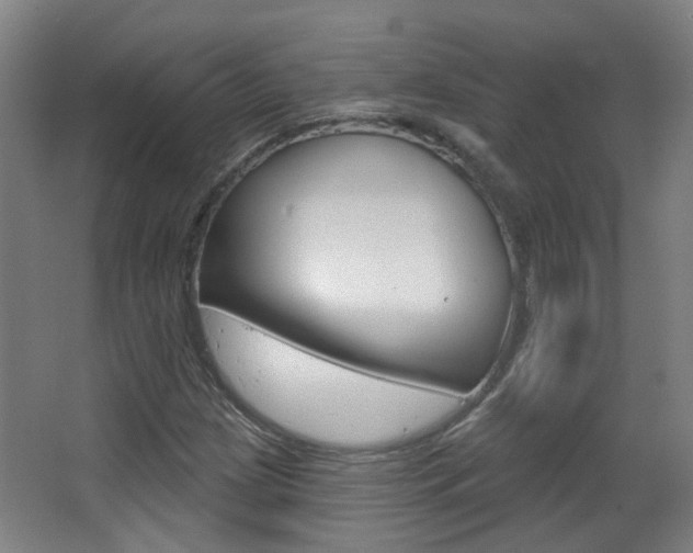 X0000063481209200601201016