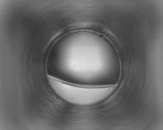 X0000063481210200601201016