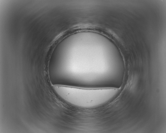 X0000063481213200601201016