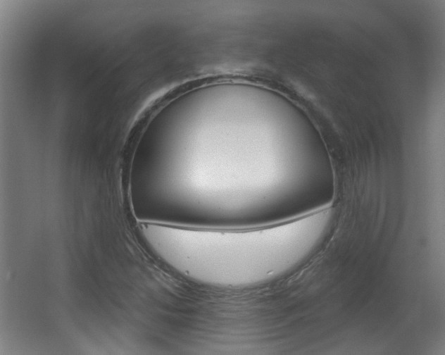 X0000063481214200601201016