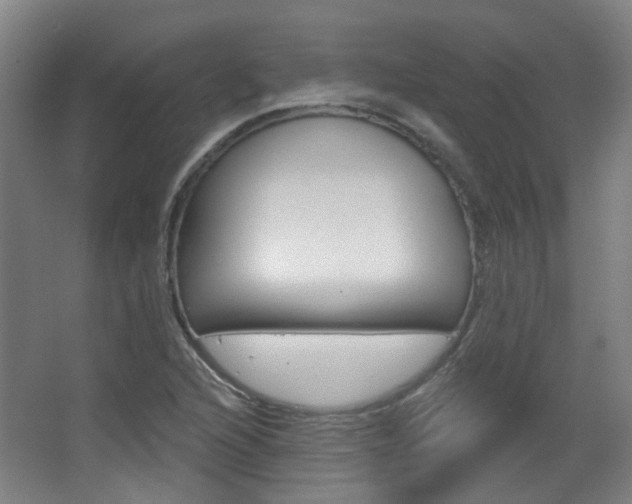 X0000063481216200601201016