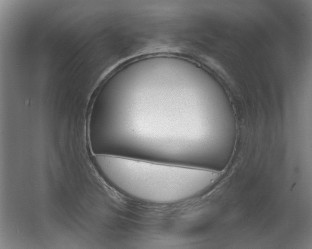 X0000063481220200601201016