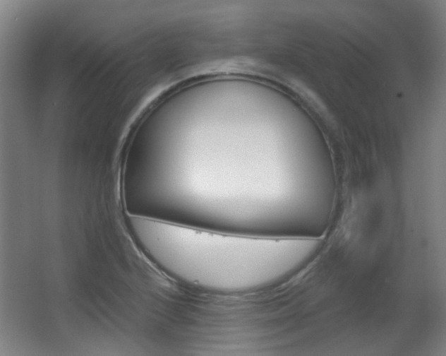 X0000063481224200601201016