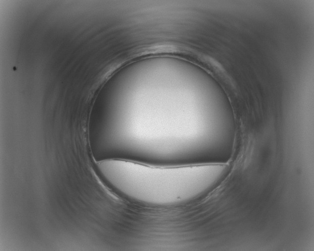 X0000063481225200601201016