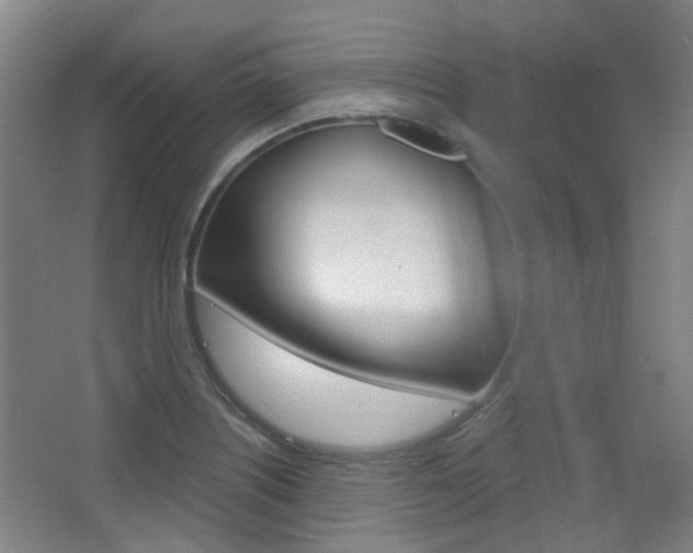 X0000063481226200601201016