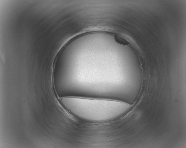 X0000063481228200601201016