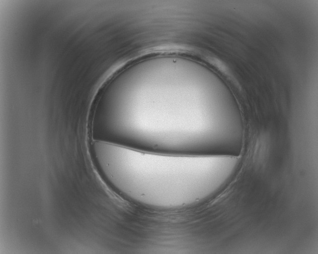 X0000063481229200601201016