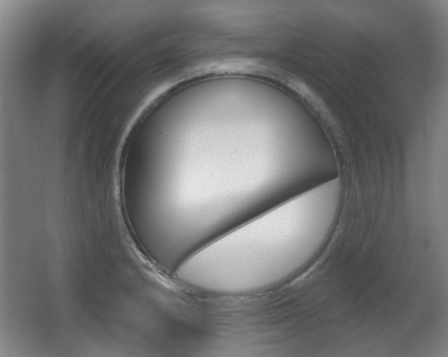 X0000063481232200601201016