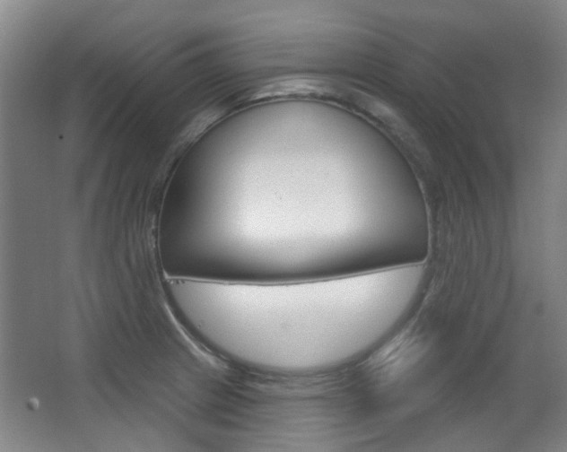 X0000063481233200601201016