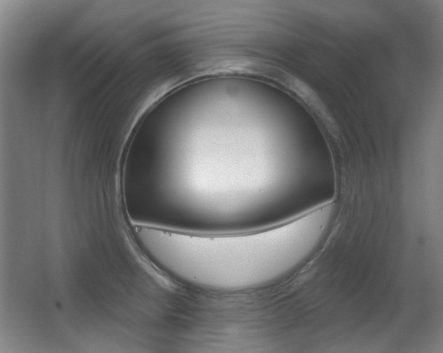 X0000063481234200601201016