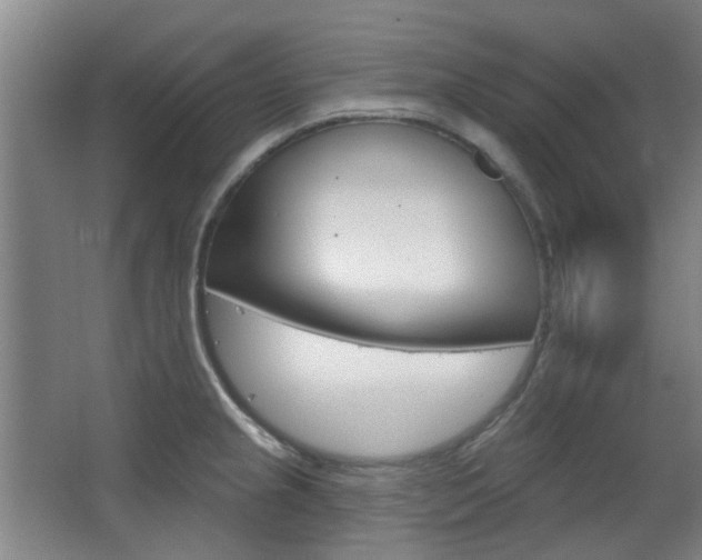 X0000063481237200601201016