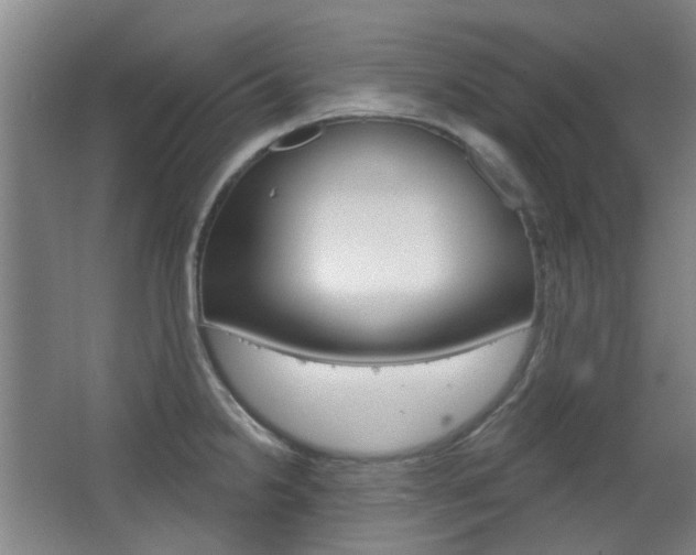 X0000063481238200601201016