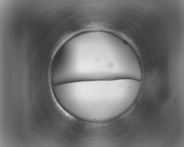 X0000063481239200601201016