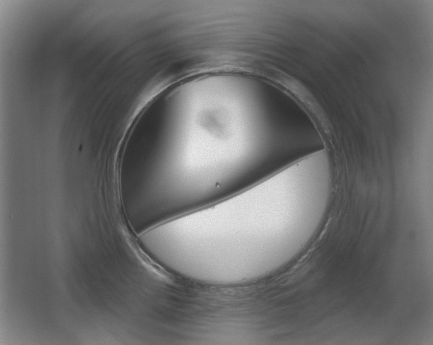 X0000063481242200601201016