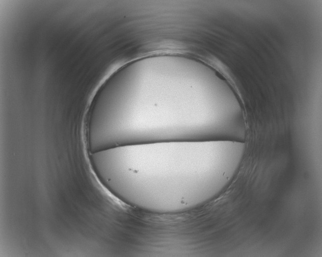 X0000063481243200601201016