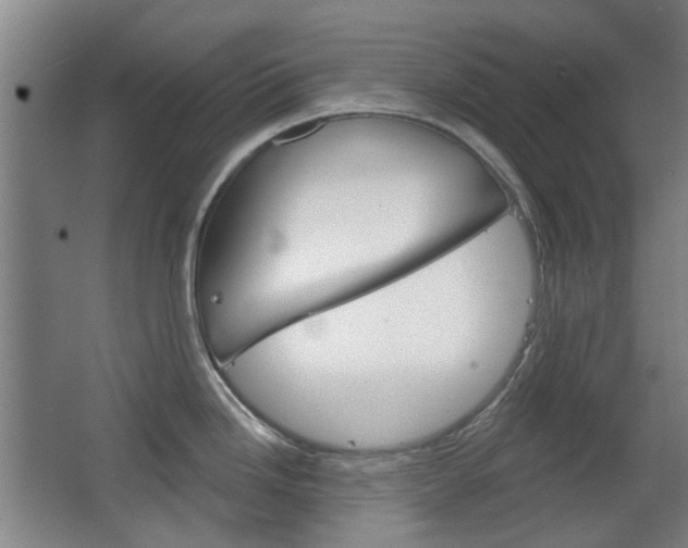 X0000063481246200601201016