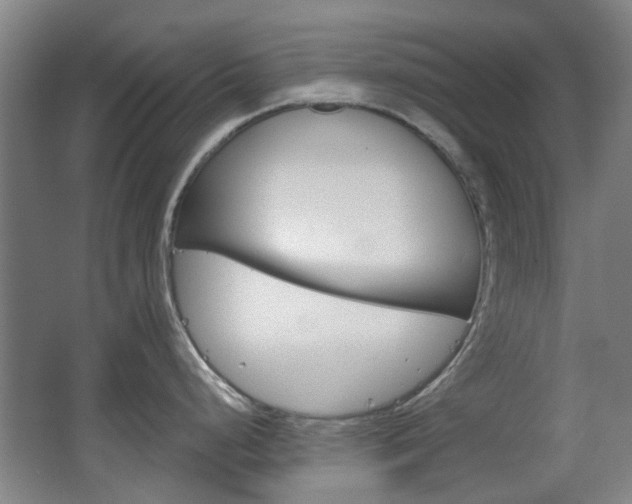X0000063481248200601201016