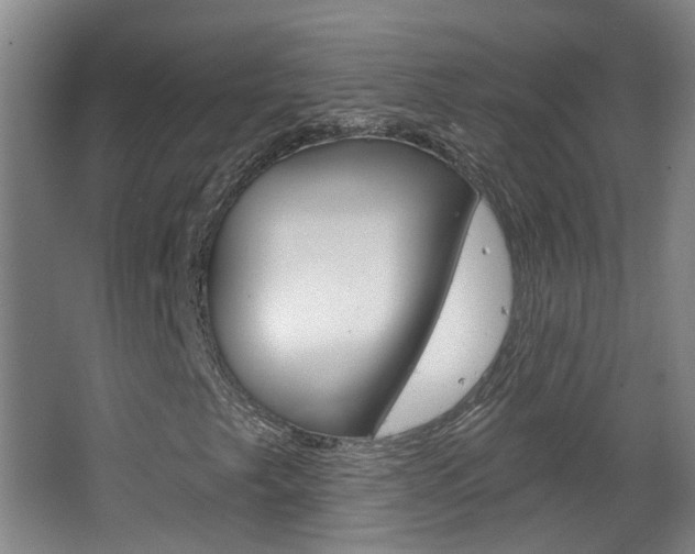 X0000063481249200601201016