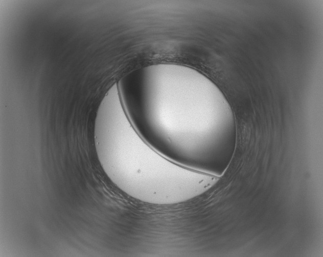 X0000063481250200601201016