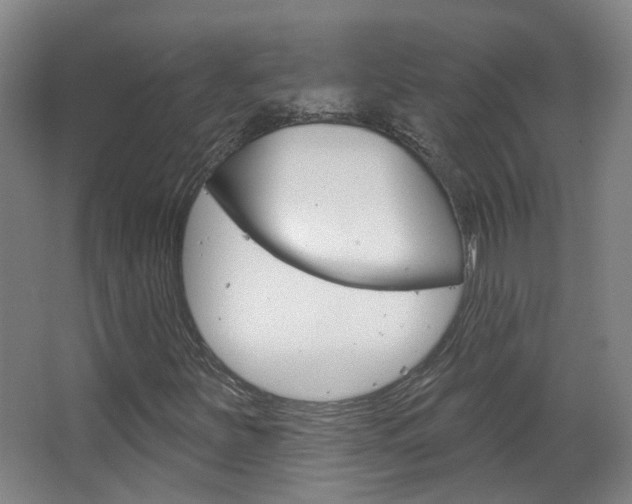 X0000063481251200601201016