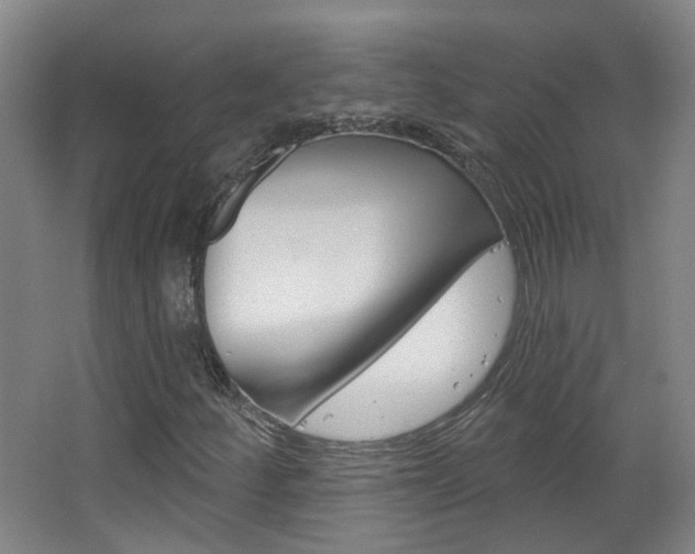 X0000063481252200601201016