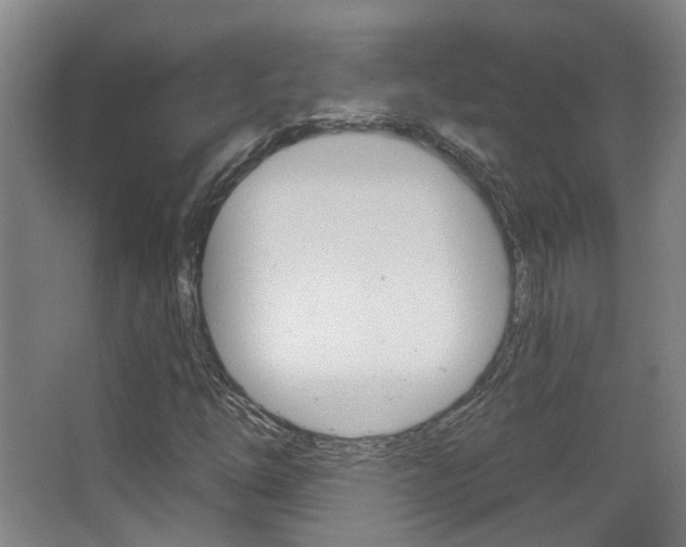 X0000063481254200601201016