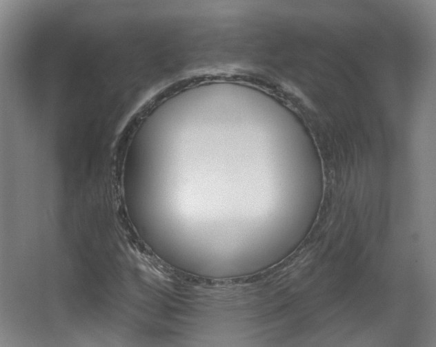 X0000063481256200601201016