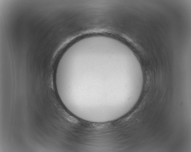X0000063481262200601201015